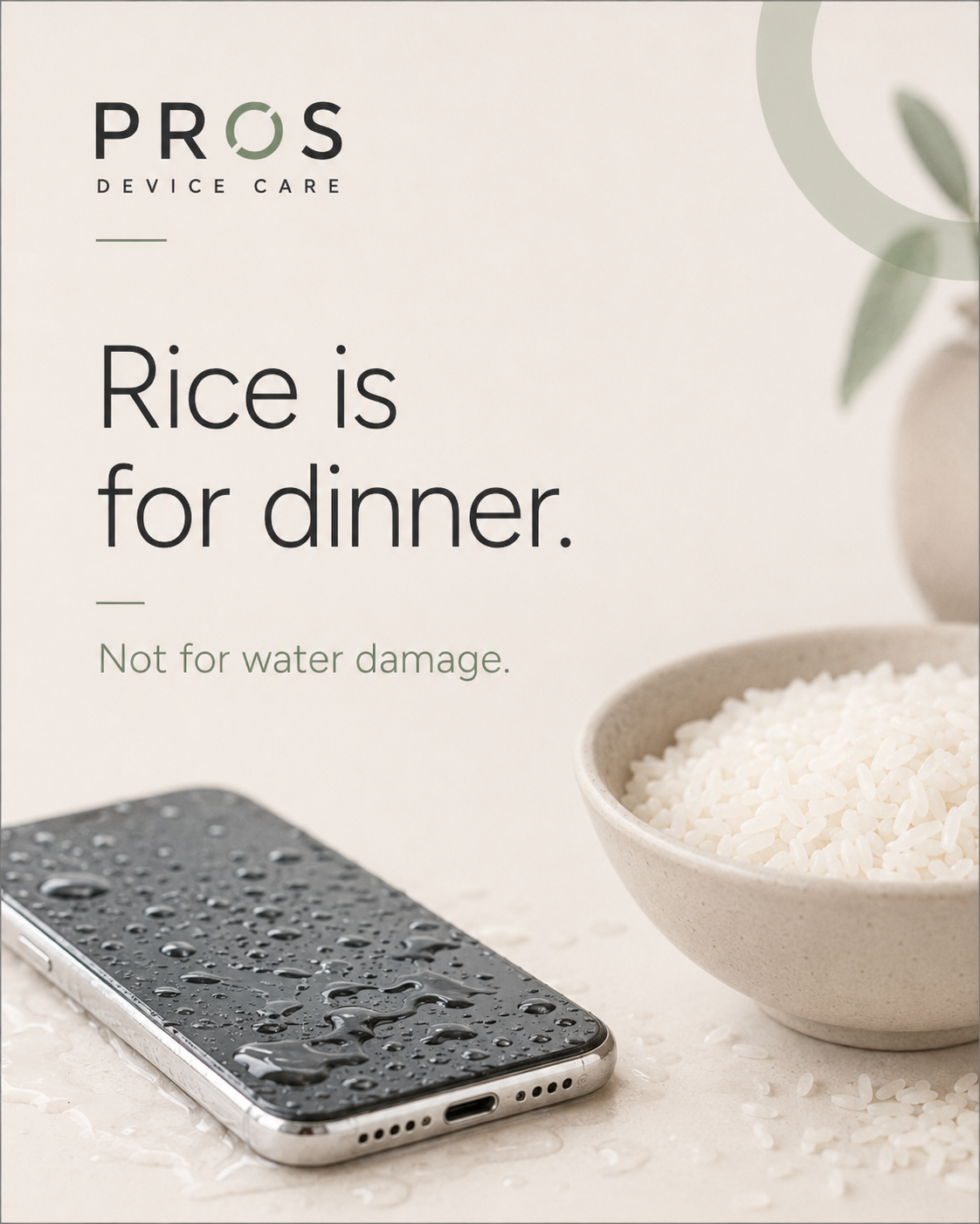 Rice is for dinner, not water damage tip